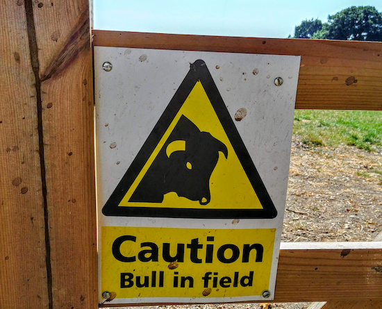 caution bull in field sign