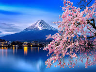 Cherry blossoms in front of Mount Fuji in Japan.