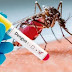  Formosa: Se detectaron en la última semana 1026 casos positivos de dengue 