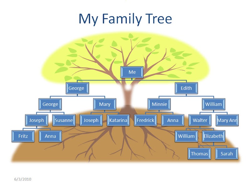 Top My Home My Family Tree