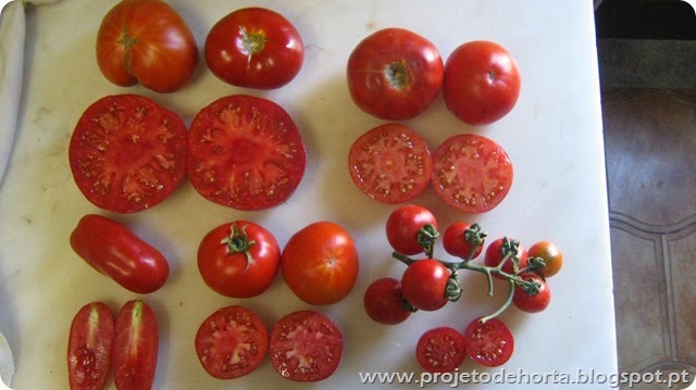 tomates 2014