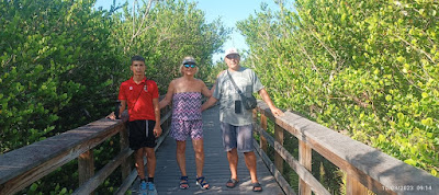 Everglades, Bobcat Boardwalk Trailhead.