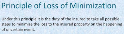 principle of loss minimization , banking insurance world ,amartya raj