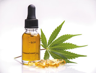 What Are The Components of a CBD Products?