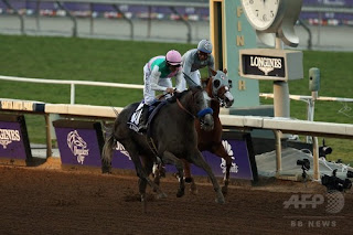 2017年最高の競馬,アメリカジョッキークラブカップ2017,競馬g1日程,日経新春杯 2017,中山競馬,京成杯 2017,地方競馬結果,中山金杯,シンザン記念 2017,中山金杯 2017,競馬予想,地方競馬結果,地方競馬結果払い戻し,園田競馬予想,地方競馬 即パット,地方競馬投票,地方競馬予想,中央競馬結果払い戻し,地方競馬 中継,大井競馬場 結果速報,高知競馬予想,盛岡競馬 予想