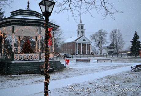 snowy common frame