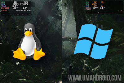 Windows Linux Gaming Test