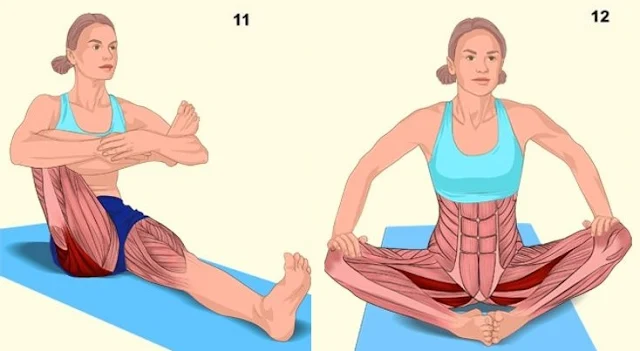 18 Pictures That Show You Exactly What Muscles You Are Stretching