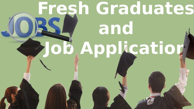 Let's Talk about Fresh Graduate and Job Application