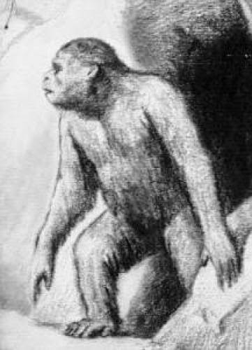 Three Yeti Sightings In Siberia