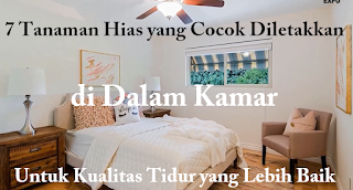 7 Tanaman Hias Yang Cocok Diletakkan di Dalam Kamar