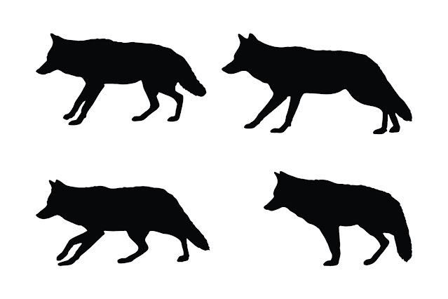 Wild coyote silhouette collection vector free download