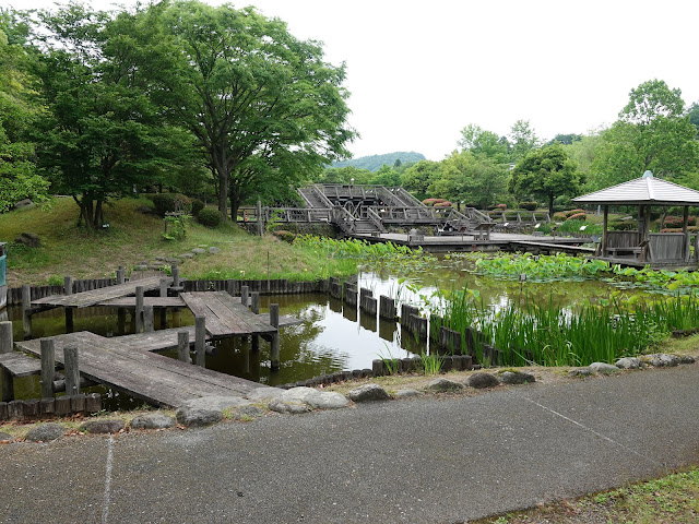 鳥取県米子市淀江町福岡　伯耆古代の丘公園　古代ハスの園