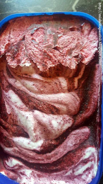 Homemade Berry Icecream