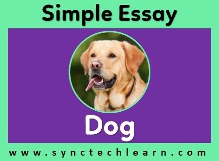 Essay on Dog in English