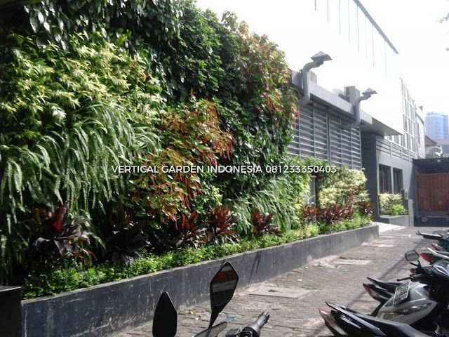 VERTICAL GARDEN INDONESIA SPESIALIS JASA PEMBUATAN VERTICAL GARDEN DI BANTEN DAN DI SELURUH WILAYAH BANTEN DENGAN TENAGA YANG PROFESIONAL DAN DAPAT DI PERCAYA YANG SELALU MENGUTAMAKAN SEBUAH MUTU DAN KUALITAS PEMASANGAN VERTICAL GARDEN/TAMAN DINDING, JASA TUKANG TAMAN VERTICAL BANTEN, JASA VERTICAL GARDEN BANTEN