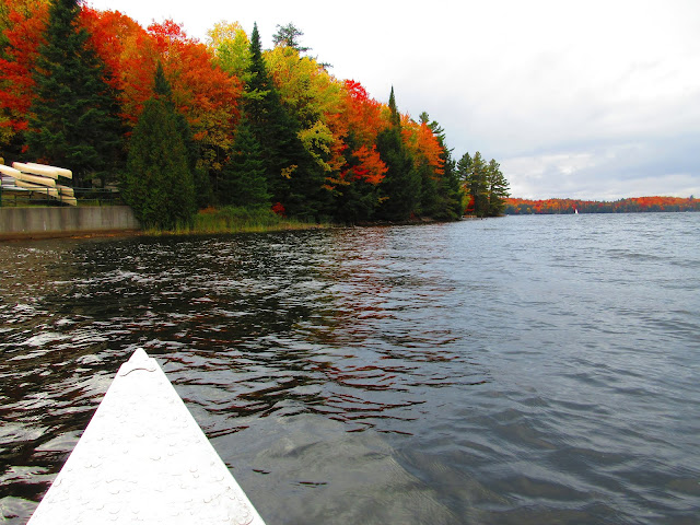 Canoe Lake in Algonquin National Park