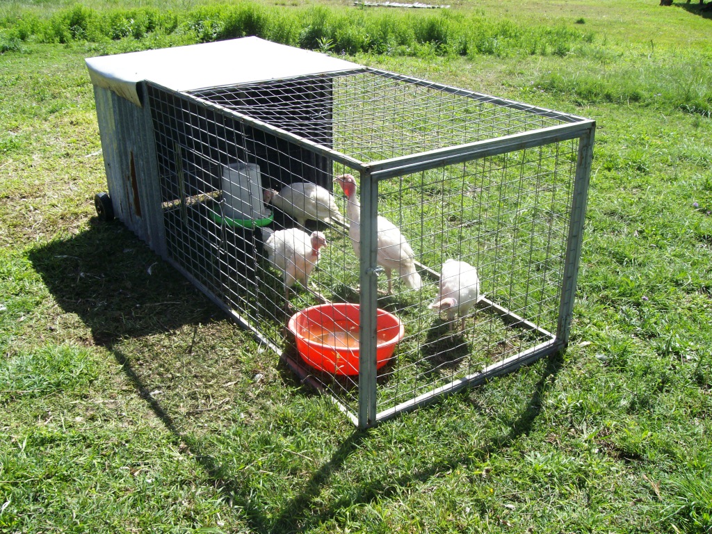 Do you use chicken tractors? What are they made out of and how to you 