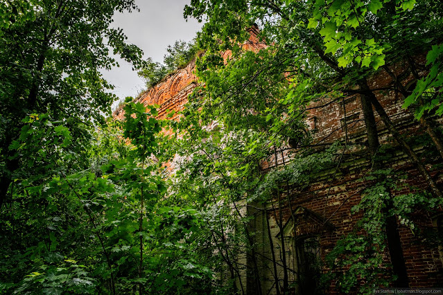 Стена старой кирпичной церкви из леса