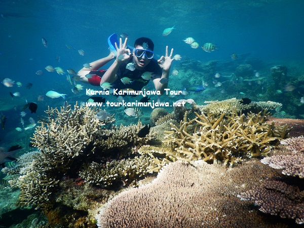 paket snorkeling karimunjawa