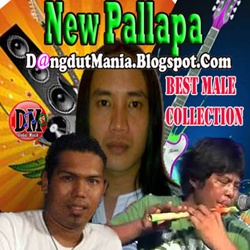 New Pallapa Best Male Collection 2013