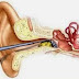 Bahaya Membersihkan Kotoran Telinga Terlalu sering