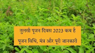Tulsi Pooja Day 2023 In Hindi