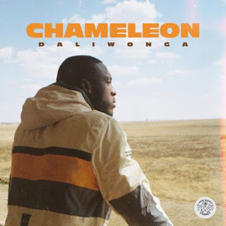 Daliwonga - Chameleon [Album]