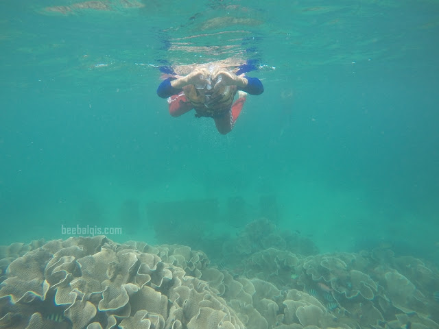 Menjelajahi bawah laut di Pulau Derawan