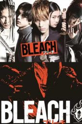 Hasil gambar untuk Bleach live action sinopsis