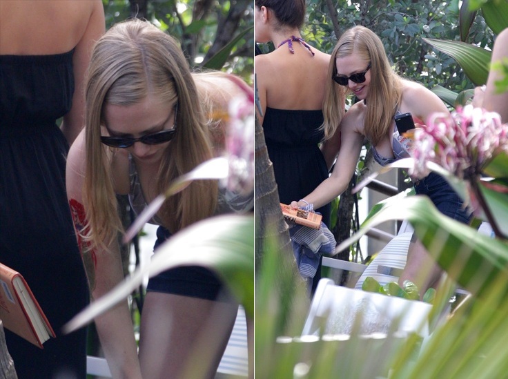 Amanda Seyfried bikini candids in Miami amanda seyfried bikini