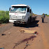 Condutor de guincho ficou gravemente ferido em acidente na MT 339.