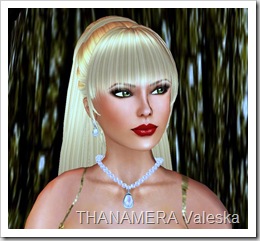 ScreenShot047