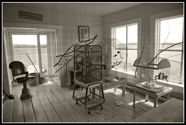 Nova Scotia; LaHave River; LaHave Bakery; Cage; Bird Cage; Bird; Barber Chair