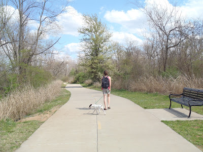 Clabber Creek Trail Fayetteville, Arkansas