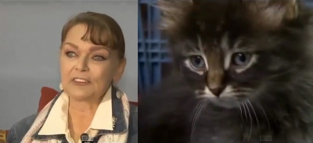 Mulher fica cega após ser lambida por seu gato