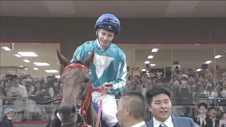 日本安田紀念2024,浪漫勇士