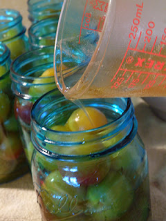 Pouring Honey Sauce into Jars of Plums