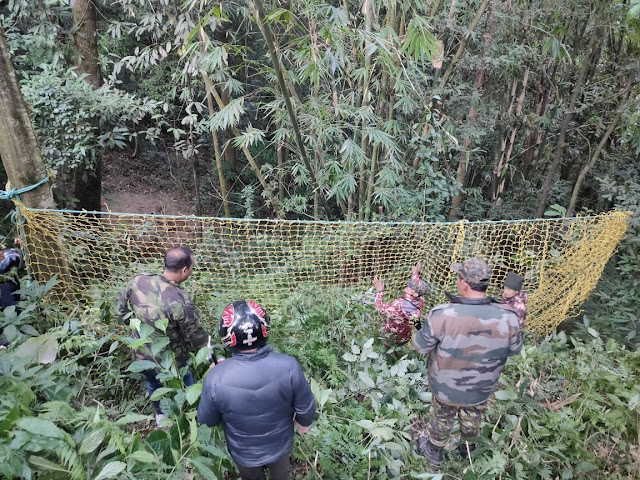 तार के जाल में लिपटे तेंदुए की दहाड़ को वन विभाग ने बचा लिया