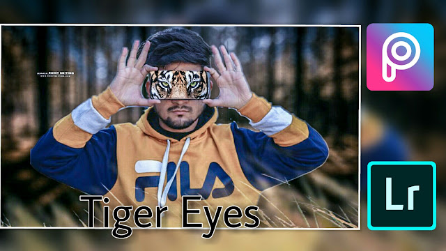 Tiger Eyes Photo Editing Background and png download 