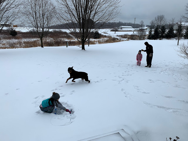 Ruple Farms - Playing in Snow