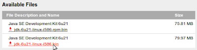 Качаем jdk-6u21-linux-i586.bin