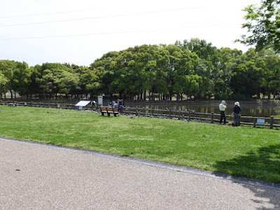 深北緑地公園　深野池