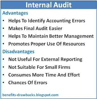 advantages disadvantages internal audit