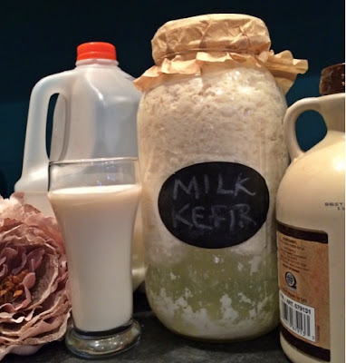 Milk Kefir - Ready to strain, ready to drink, milk, and maple syrup