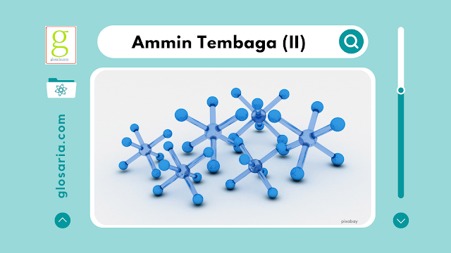 Laporan Praktikum Stoikiometri Senyawa Kompleks Ammin Tembaga (II)