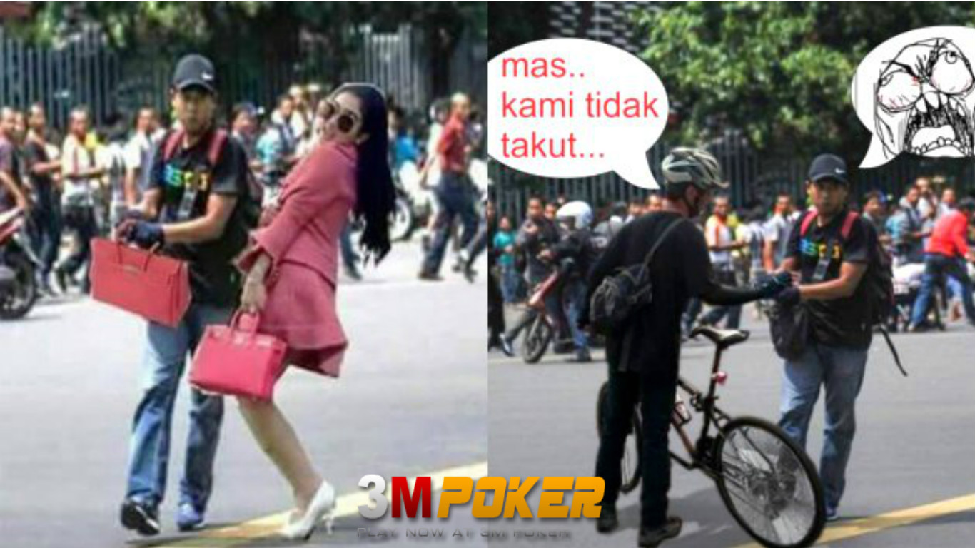 Foto Meme Lucu Teroris Stok Gambar Lucu