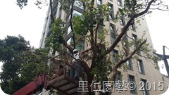 20150826_6545