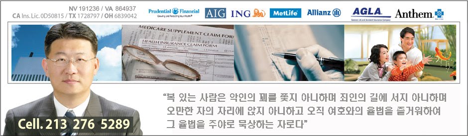 미국의 보험과 재정