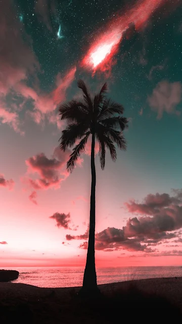 Plano de Fundo Celular Pôr do Sol Tropical